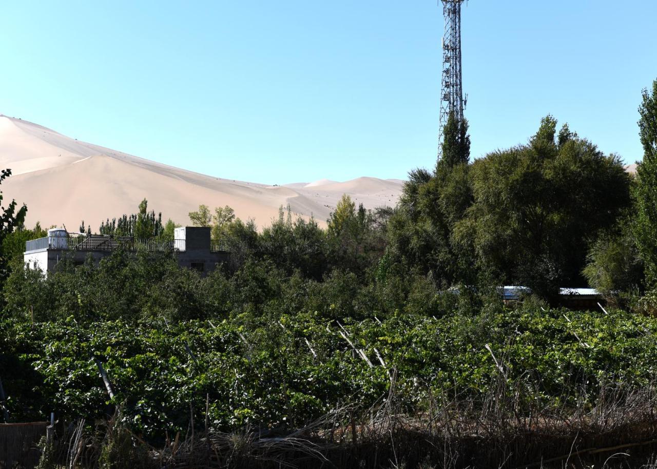 Dunhuang 8090 Guest House מראה חיצוני תמונה